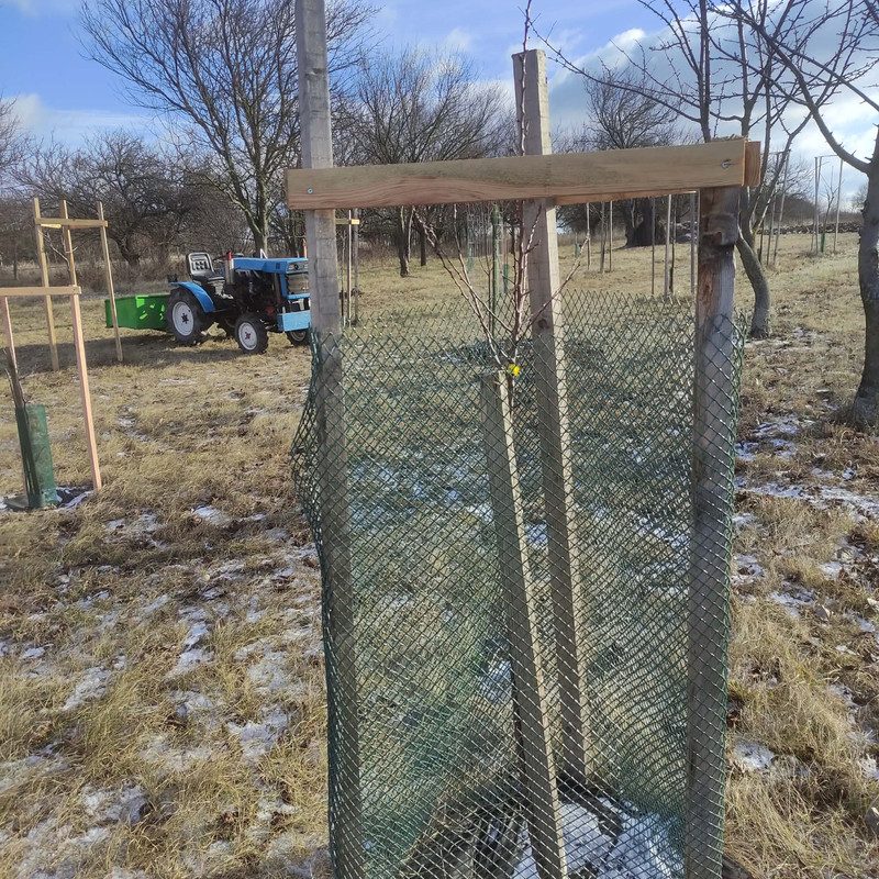 605533957 1292606586047867 8904187886063831241 n