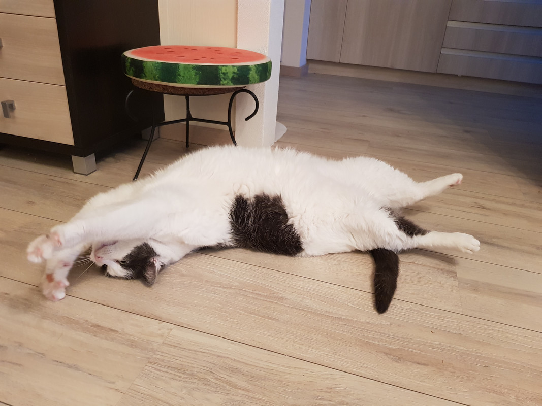 20190523-212906.jpg