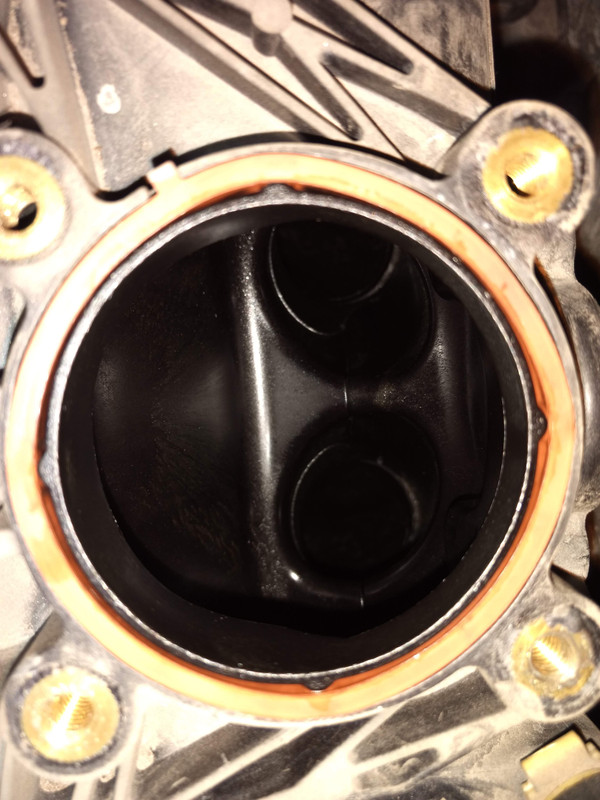 IMG_20231008_150638212