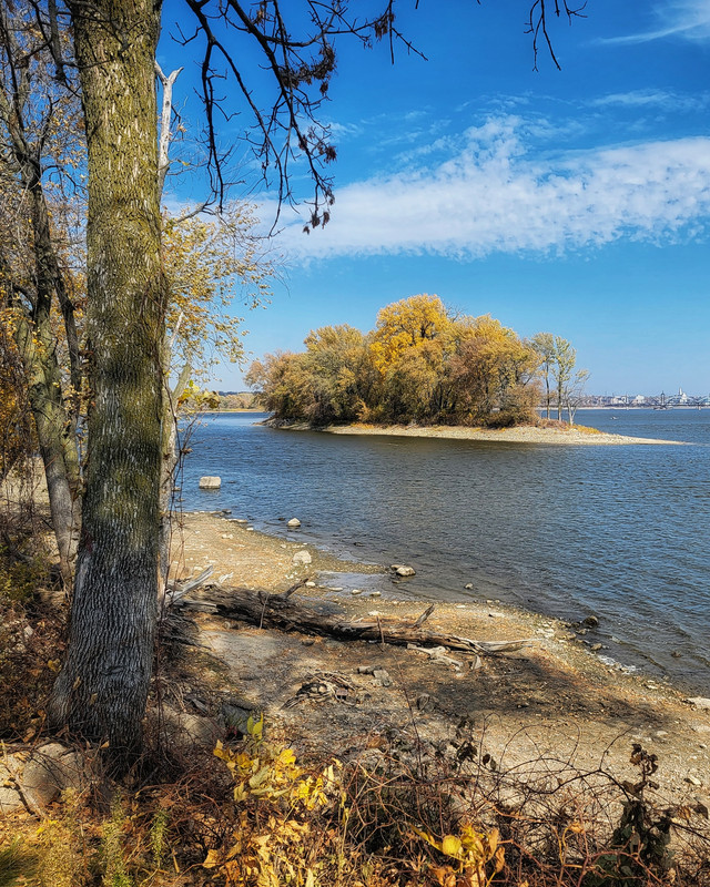 Willow Island. Democratic Underground Forums