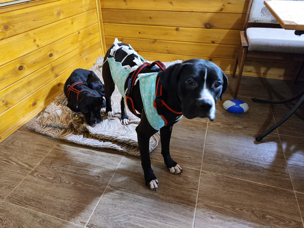 53545BB3-DF2F-4F19-93A5-005D54936256