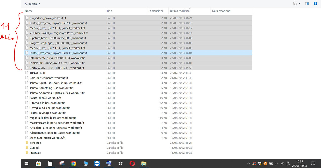 allenamenti Garmin (11 allenamenti in totale) (2023-08-26)