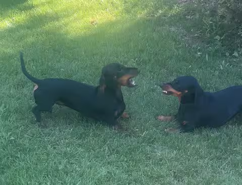 [Image: temp-Image-TLd-QLo.avif]