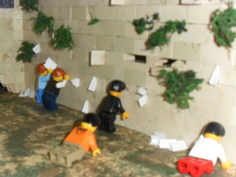 SAM_3455-20151021-123436