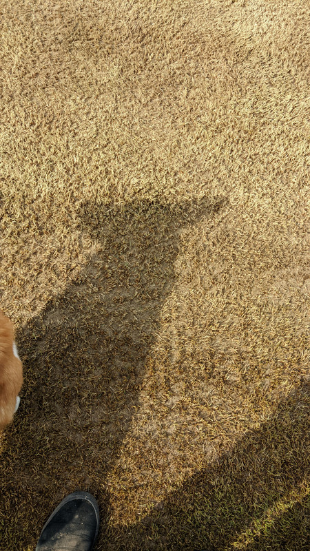 PXL_20220402_230249748