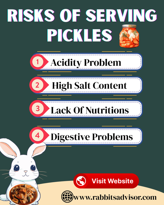 Risks of Overfeeding Pickles to Your Rabbits