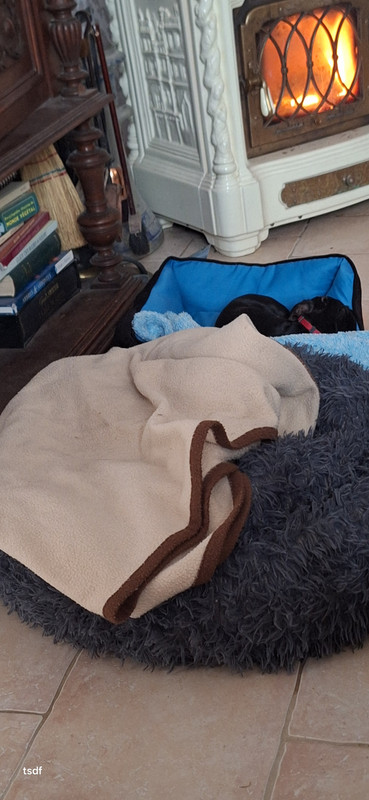 [Image: 20250126-141120.jpg]