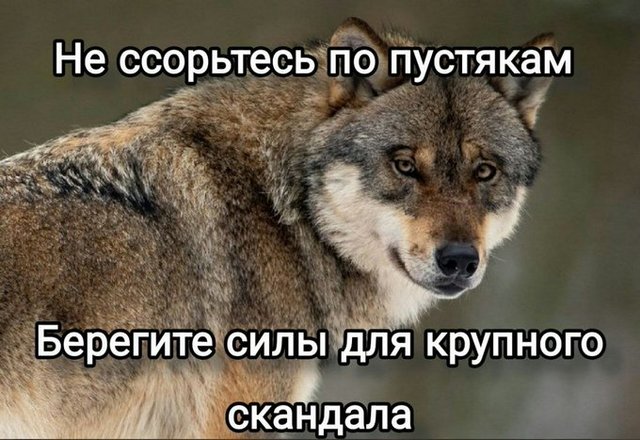 https://i.postimg.cc/7PB7kYrT/330393016-1685951945196443-3249086989310597558-n.jpg