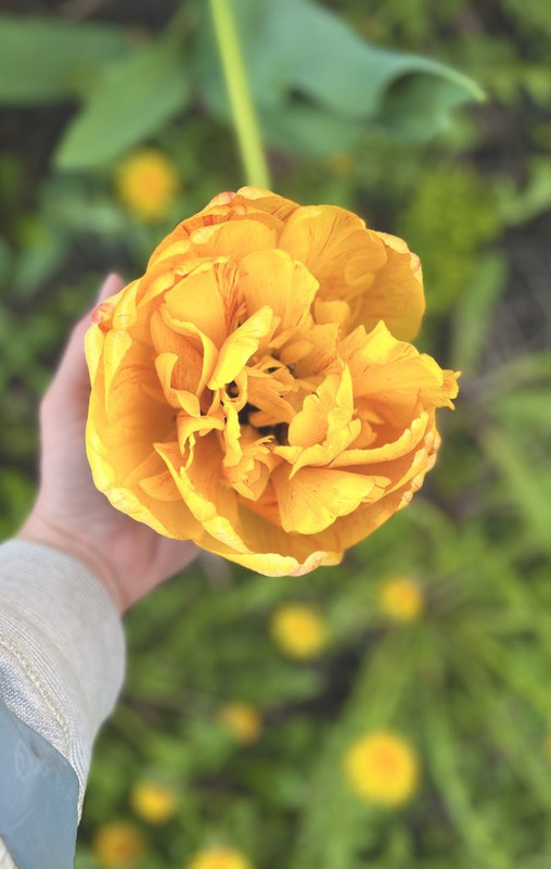 26CF2399-337C-4A40-A0B0-D968F8D115AC