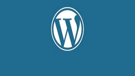 Wordpress: Clueless To Professional Web Developer