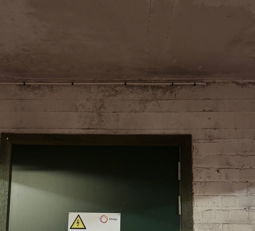 IMG_4239_preview (Edited)