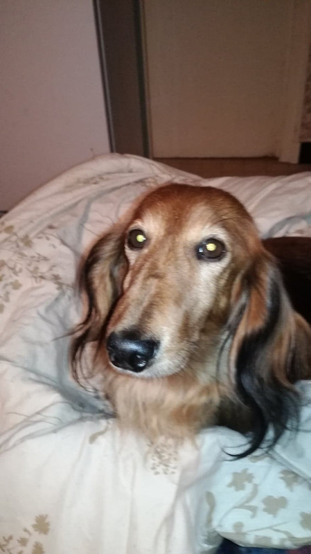 [Image: CF07-F6-DC-967-D-490-F-9612-ED5-A5-A3-B051-F.jpg]