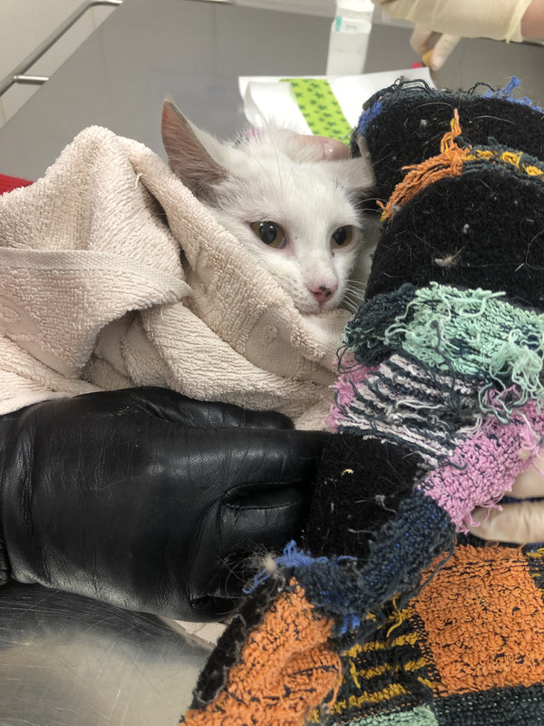 F9AD899E-B145-4CDB-B0B9-14962B4F926E