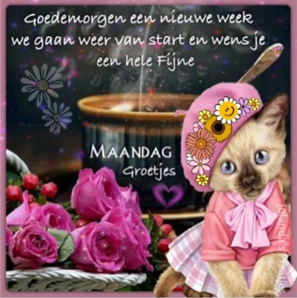 32b817f6dab887ea5d9972043cca7fdc.jpg
