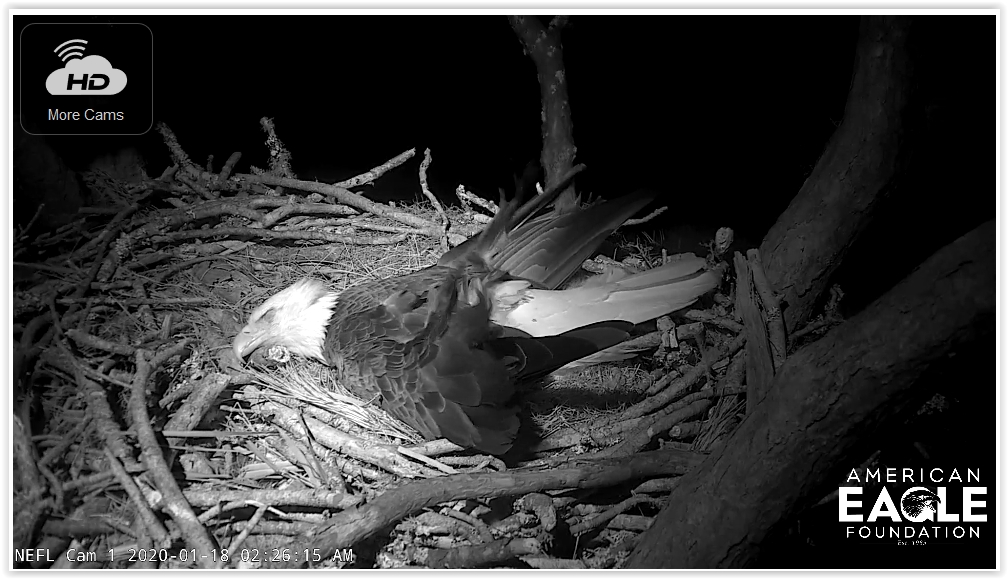 Screen Shot 01-18-20 at 08.27 AM 001