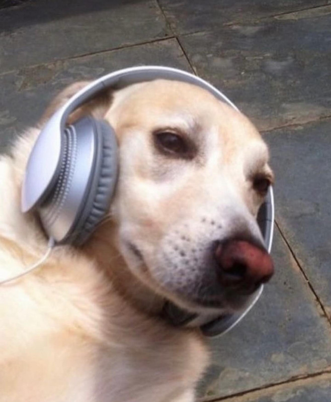 geesutthirak-1710648867-3325486183093224898-1992973541