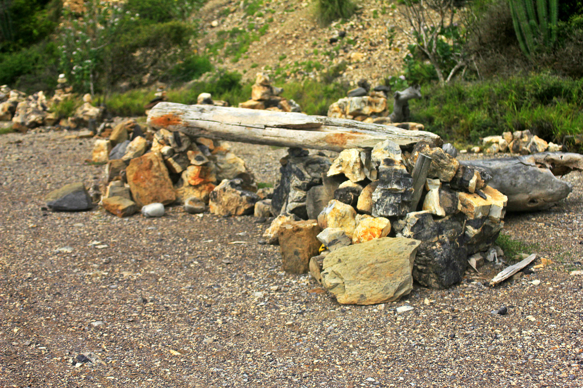 Sendero-del-Dharma-8.jpg
