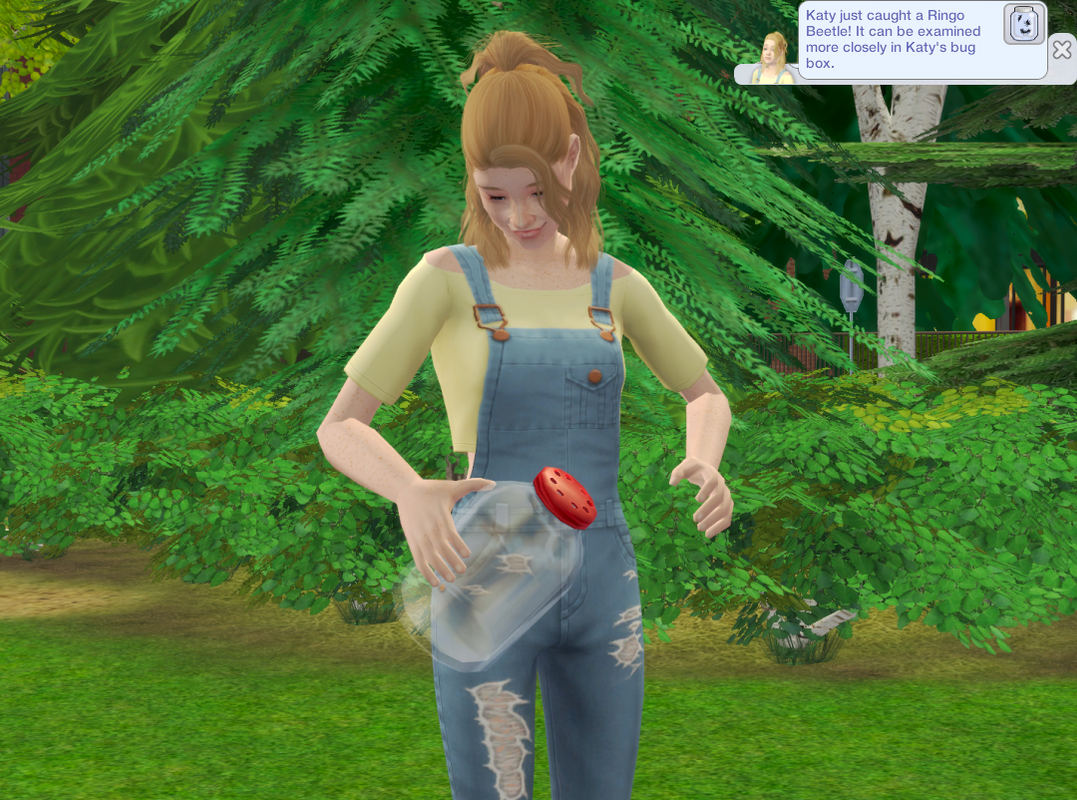 Sims2-EP9-RPC-2024-03-03-11-18-17-16