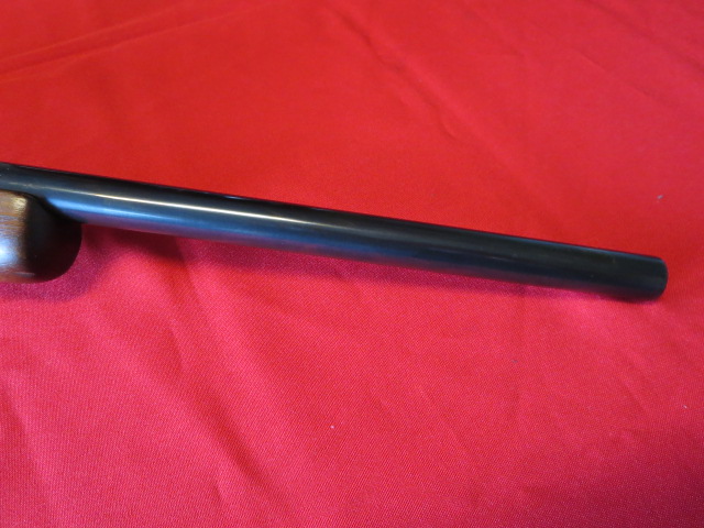 Waff-ank-Clearwater-076