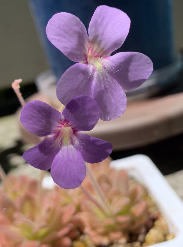 D6A131B8-6027-4E7E-8E92-38CA90503A5A