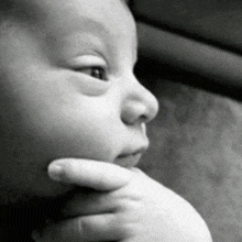 cat-thinking-baby-thinking
