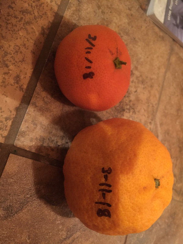 AF0F7471-5239-4D62-A56D-AACB610792E6