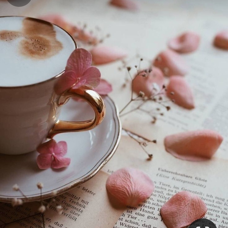 Screenshot_20240328_233942_Pinterest