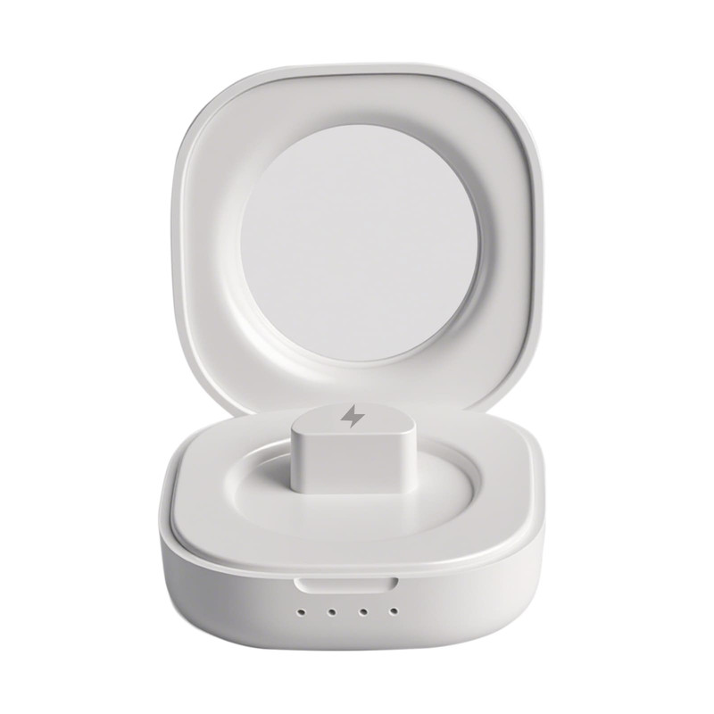 Standard Ring Charger