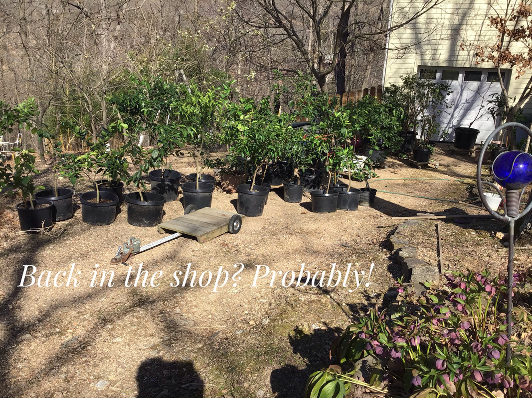 F6779204-3B45-4FEC-8FE4-8E389935B915