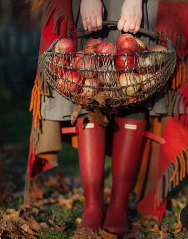 Screenshot_20231117_202349_Pinterest