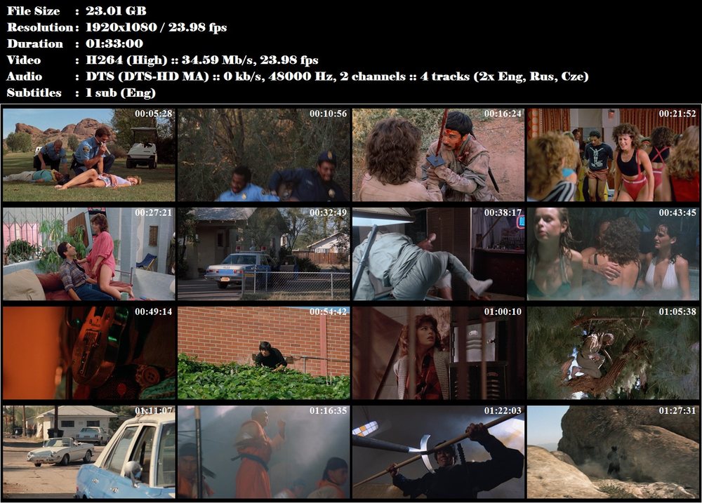 Ninjova nadvláda / Ninja III: The Domination (1984)