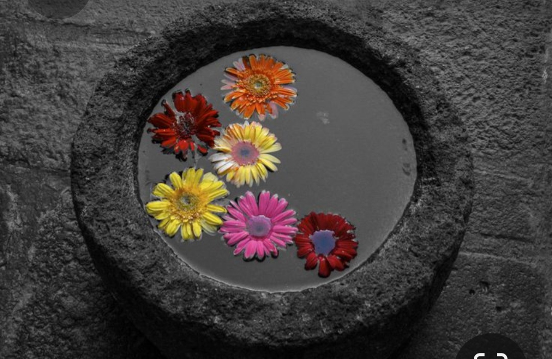 Screenshot_20230409_225036_Pinterest