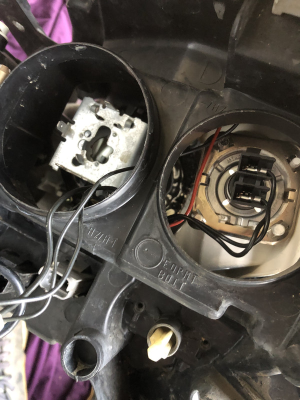 D748358B-FAC8-450D-AC17-BCBEBF487E84