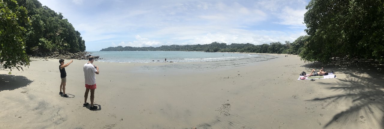 DE TORTUGAS Y PEREZOSOS. COSTA RICA 2019 - Blogs de Costa Rica - DIA 14: PARQUE DE MANUEL ANTONIO (28)