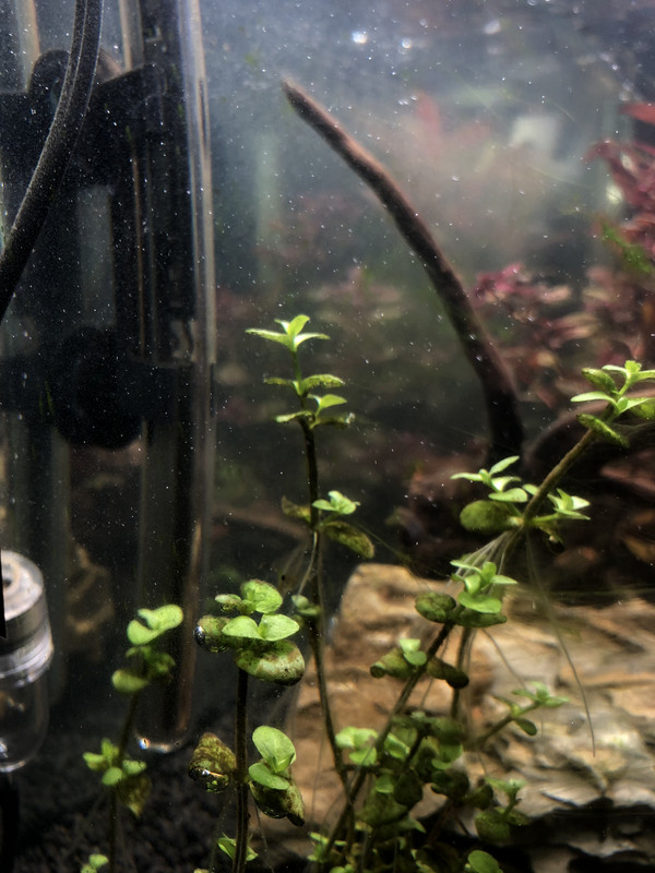 5F72D7B3-460C-4586-B5F0-E3D3BBF9E4DC