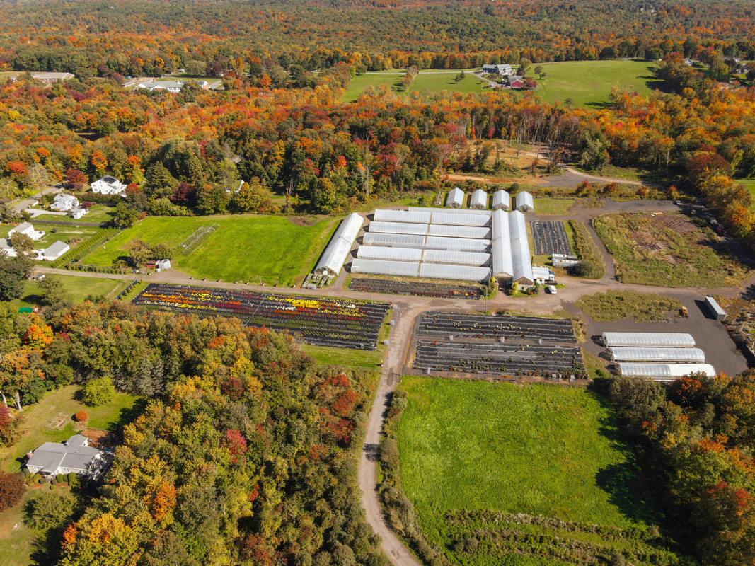 Inside a WaterField Farms greenhouse
