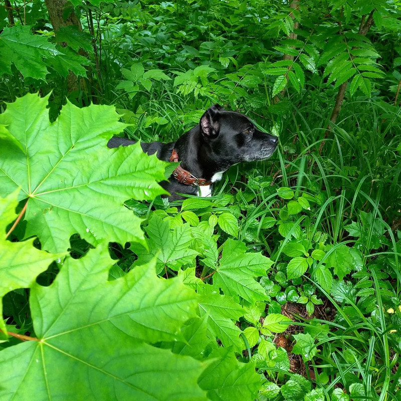 B8D10B9F-E5AC-4B4E-B945-32C3E83B920B