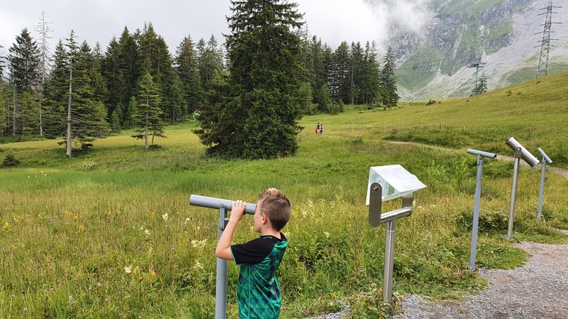 50 sombras del verde en Suiza y Alemania - Blogs de Suiza - RUTA MOORACULUM (SORENBERG)- LLEGADA A BEATENBERG (3)