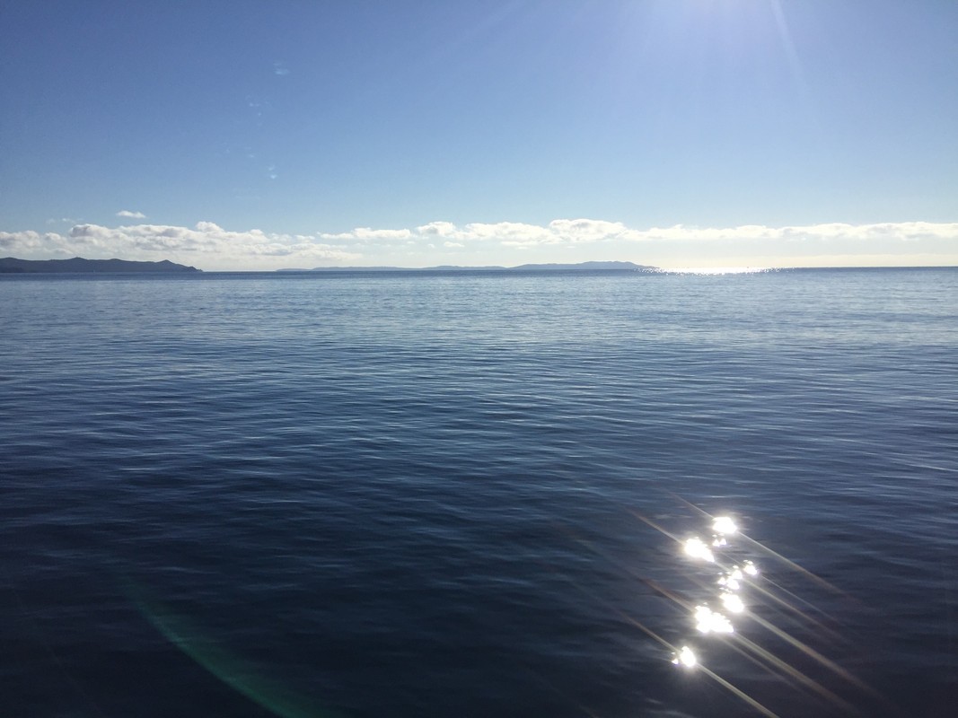 CED80EDE-01C9-4868-881D-0440D8956482