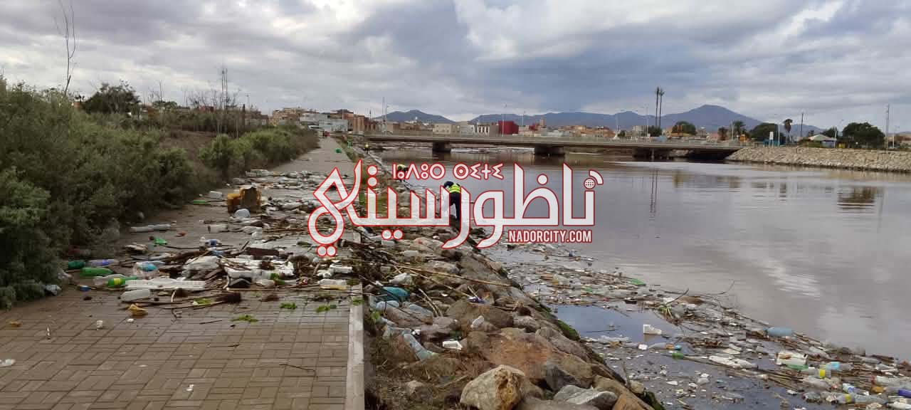 610634917-1253806493471797-4132155327314748337-n