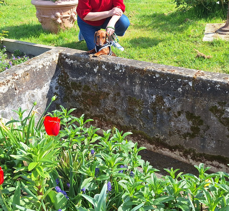 [Image: 20250408-162110.jpg]