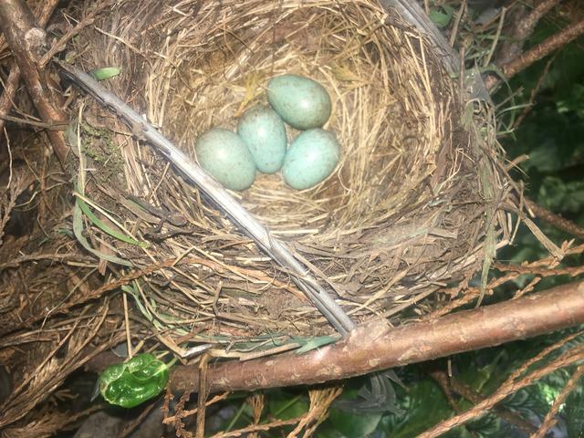 5BFDFA3F-C85D-4EB5-9562-809D5C93D0D5