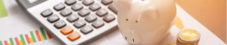 solution budget auto