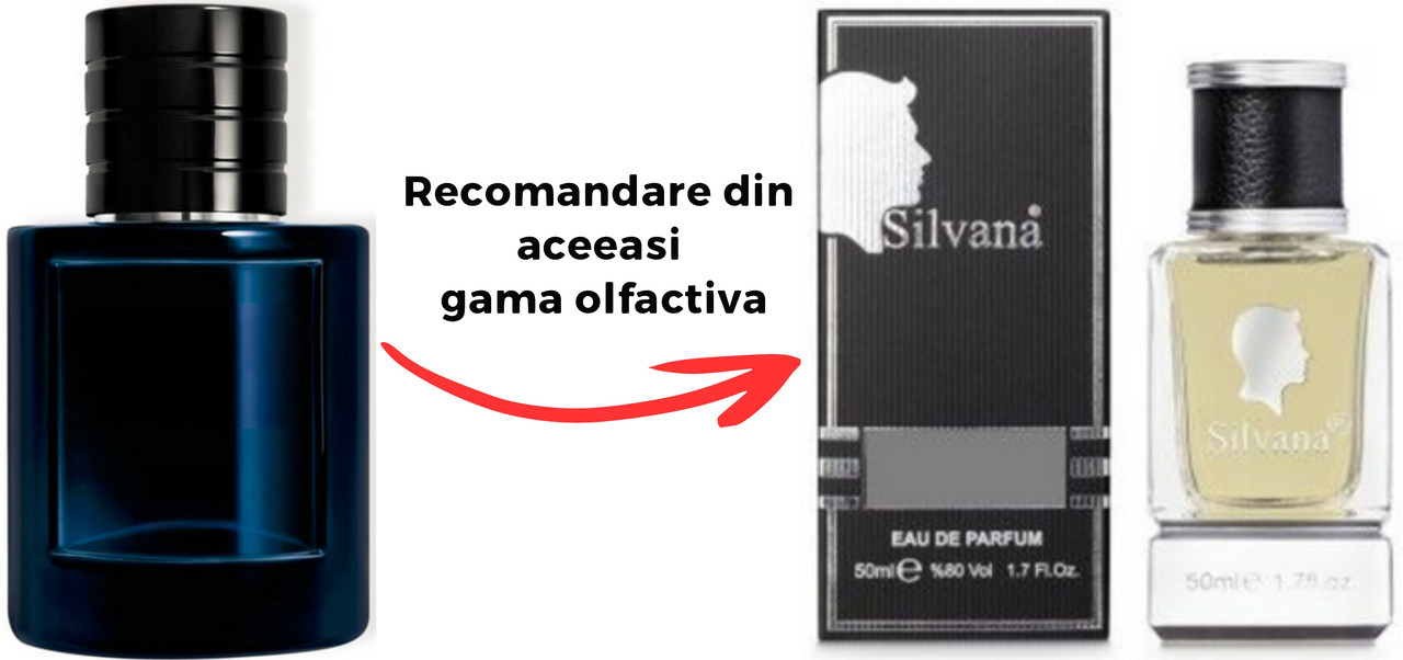 Parfum Silvana ElixirChristian Dior Sauvage Elixir