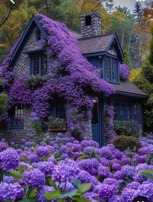 Screenshot_20240527_232951_Pinterest