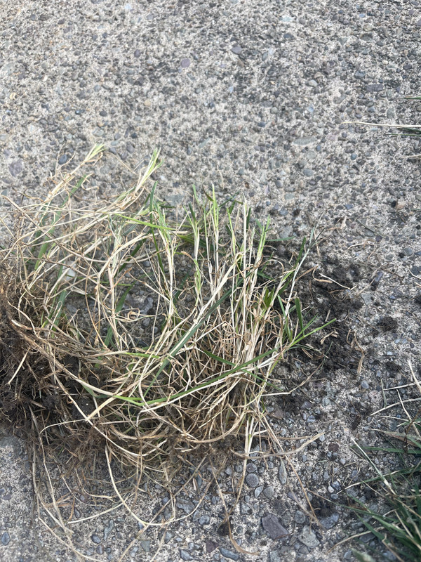 F631946D-9D53-422E-8AE5-E4F3E42D670F