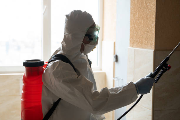 Termite Treatment Kissimmee