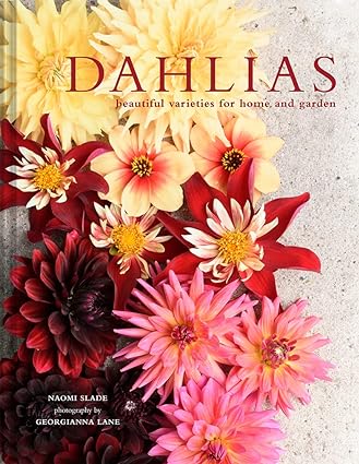 Dahlias: Beautiful varieties for home and garden