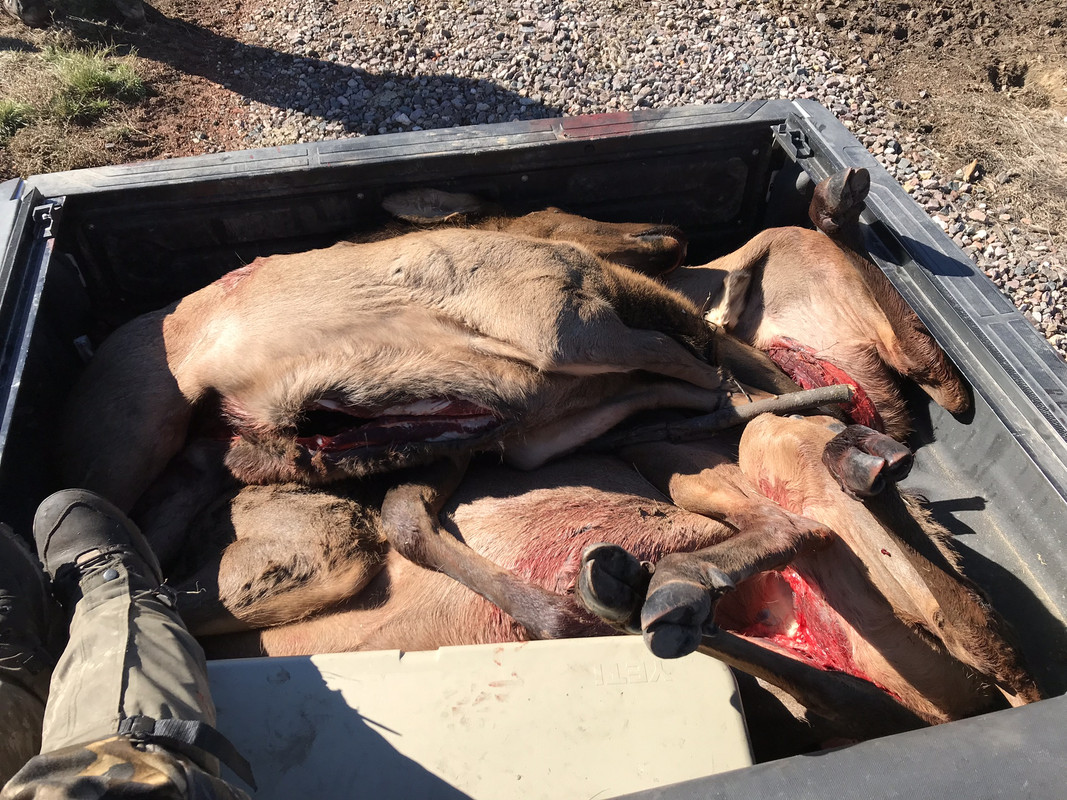 0CA7FF4C-52EC-40C5-B484-9F07F17FC32F