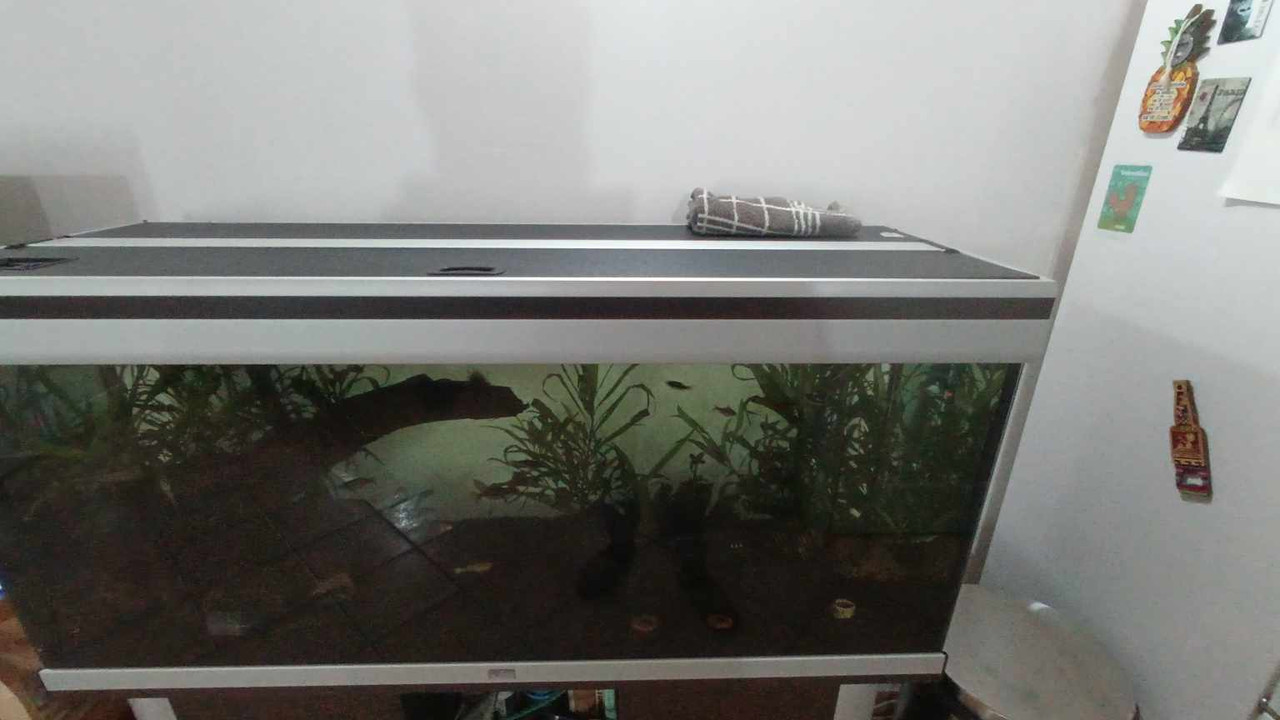 482523521_1751212108772864_5365464826255135690_n